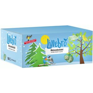 200x90g Lillebro Boules de graisse pour oiseaux sauvages, avec filet