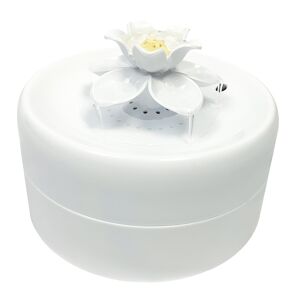 1,6L Fontaine a eau Pioneer Pet Magnolia fontaine - pour chat