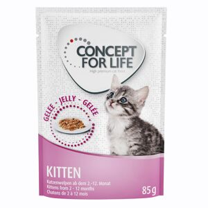 12x85g Maine Coon Kitten + sachet Kitten en gelee Concept for Life - pour chat