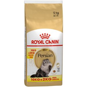 10kg+2kg Persian Royal Canin Croquettes pour chat