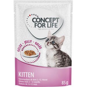 12x85g Kitten en gelée pour chaton Concept for Life - Nourriture pour chat