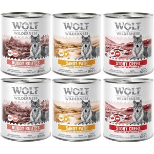 Wolf of Wilderness - Nourriture pour chiens - Expédition, Senior, Junior - Régime sauvage, Sans céréales - Publicité Wolf of Wilderness - Nourriture pour chiens - Expédition, Senior, Junior - Régime sauvage, Sans céréales - Publicité