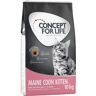 10kg Concept for Life Maine Coon Kitten - Croquettes pour chaton