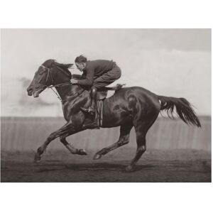 Kelepoq Photo ancienne noir et blanc cheval n°40 alu 70x105cm