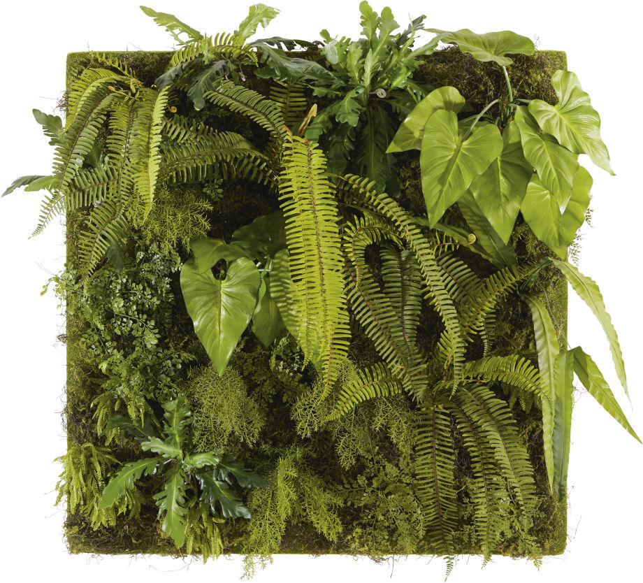 Maisons du Monde Tableau végétal plantes artificielles 100x100