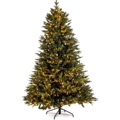 Bizzotto Sapin de Noël h210 branches 5436 LEDs 1900 - Publicité Bizzotto Sapin de Noël h210 branches 5436 LEDs 1900 - Publicité