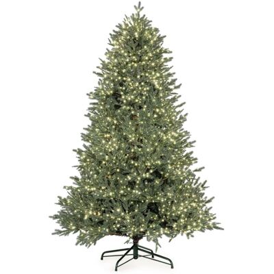 Bizzotto Sapin de noël 210 cm, 5436 branches, 4000 micro-led, ø 132 cm - Publicité Bizzotto Sapin de noël 210 cm, 5436 branches, 4000 micro-led, ø 132 cm - Publicité