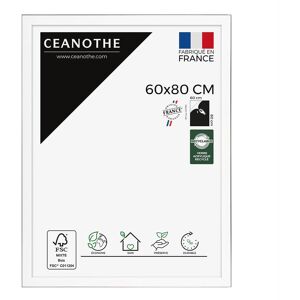 Ceanothe Cadre photo Newton acier 60x80 cm resine recyclee