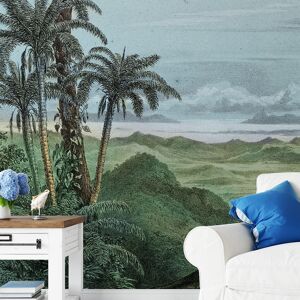 Yeda Design Papier peint panoramique jungle foret Amazonienne 255x260cm