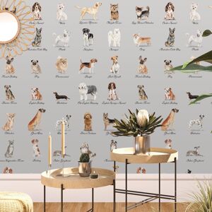 Wallpapers4Beginners Papier Peint Chiens Fond Gris 250x200 cm