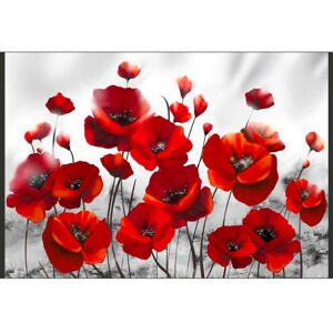 Artgeist Papier peint coquelicots au clair de lune 400 x 280 cm