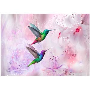 Artgeist Papier peint colibris colores violet 350 x 245 cm