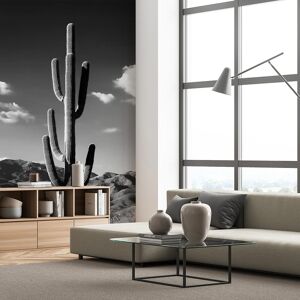 Hexoa Papier peint jungle cactus desert noir et blanc 156x270cm