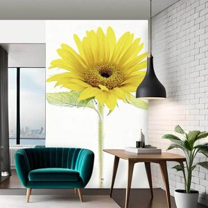 Hexoa Papier peint fleurs fleur de tournesol 208x270cm