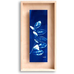 Swabdesign Cadre en bois cyanotype plante 40x20cm