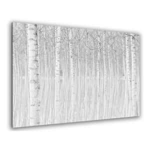 Hexoa Tableau nature perspective trees toile imprimee 120x80cm