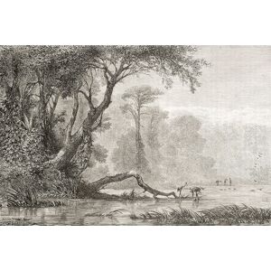 Hexoa Tableau gravure les bords du fleuve imprime sur alu 60x40cm