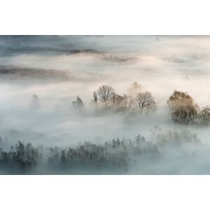 Hexoa Tableau brouillard hivernal imprime sur alu 120x80cm