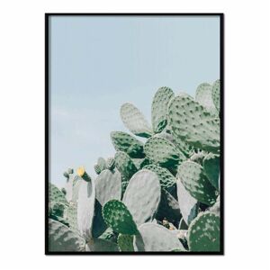 Momark Affiche avec cadre noir - Plantes de cactus - 50x70