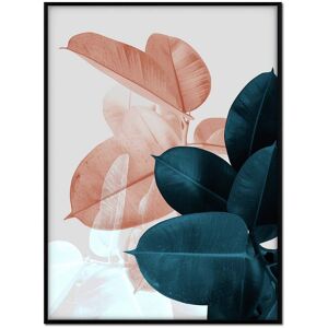 Momark Affiche avec cadre noir - Ficus vert et orange - 50x70