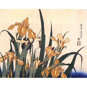 Legendarte Tableau Iris et Sauterelle Katsushika Hokusai 80x100cm