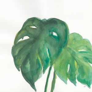 Hexoa Tableau Plante monstera watercolor imprime sur toile 100x100cm
