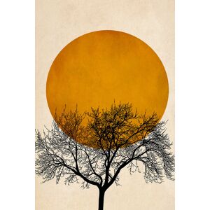 Hexoa Tableau dessin arbre et serenite imprime sur toile 60x90cm