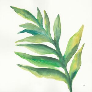 Hexoa Tableau Plante aloe watercolor imprime sur toile 100x100cm