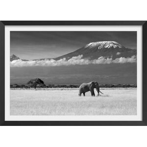 Hexoa Affiche elephant et kilimanjaro avec cadre noir 90x60cm