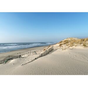 Ceanothe Tableau sur verre dune littoral 45x65 cm