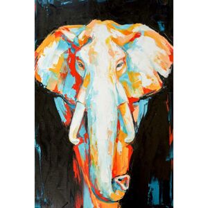 Ceanothe Tableau sur verre elephant colore 45x65 cm