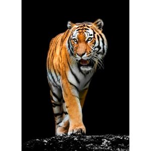 Ceanothe Tableau sur verre tigre precieux 45x65 cm