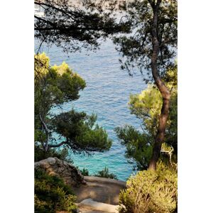 Ceanothe Tableau sur toile chemin vers les calanques 65x97 cm