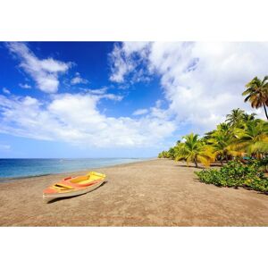 Ceanothe Tableau sur verre plage Anse Macabou Martinique 45x65 cm