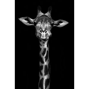Hexoa Tableau girafe haute en portrait imprime sur toile 80x120cm