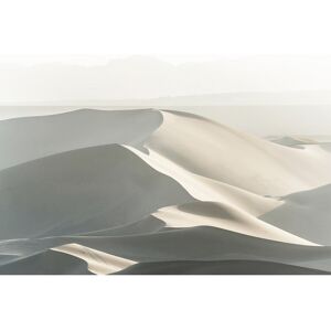 Ceanothe Tableau sur toile sable blanc 65x97 cm