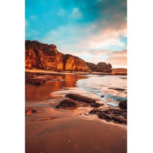 Ceanothe Tableau sur verre plage rocheuse 45x65 cm