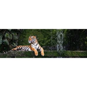 Ceanothe Tableau sur toile tigre du bengale 45x135 cm