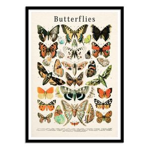 Wall Editions Affiche 50x70 cm et cadre noir - Butterflies collection - Gal Design