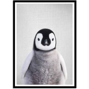 Wall Editions Affiche 50x70 cm et cadre noir - Baby penguin - Gal Design