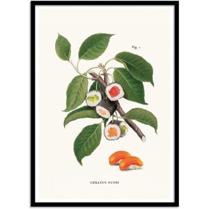 Wall Editions SUSHI PLANT - Affiche d'art avec Cadre bois noir - 50 x 70 cm