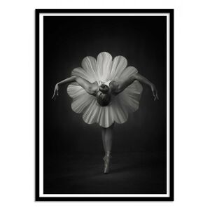 Wall Editions Affiche 50x70 cm et cadre noir - Floral Ballet - Catchlight Studio