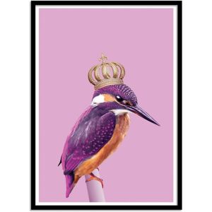 Wall Editions Affiche 50x70 cm et cadre noir - Queen fisher - Jonas Loose