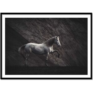 Wall Editions Affiche 50x70 cm et cadre noir - Solitaire Horse - Heike Willers