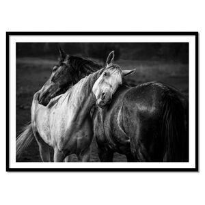 Wall Editions Affiche 50x70 cm et cadre noir - Warm rain horses - Niko Chapa