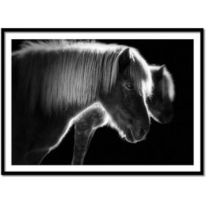 Wall Editions Affiche 50x70 cm et cadre noir - Pony