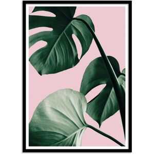 Wall Editions Affiche 50x70 cm et cadre noir - Monstera Pink No 07 - 1x Studio