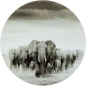 Kare Design Tableau rond elephants en verre gris D120