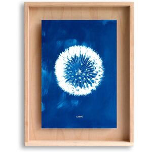 Swabdesign Cadre en bois cyanotype pissenlit 40x30cm