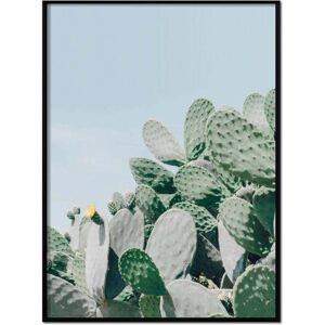 Momark Affiche avec cadre noir - Plantes de cactus -